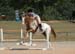 DSC_4924